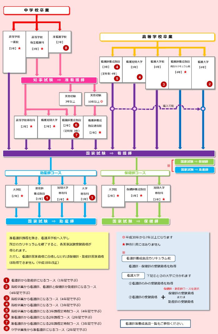 看護職 への道 公益社団法人神奈川県看護協会 看護職 への道 公益社団法人神奈川県看護協会