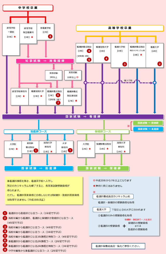 看護職 への道 公益社団法人神奈川県看護協会